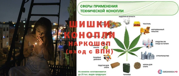 стаф Абаза