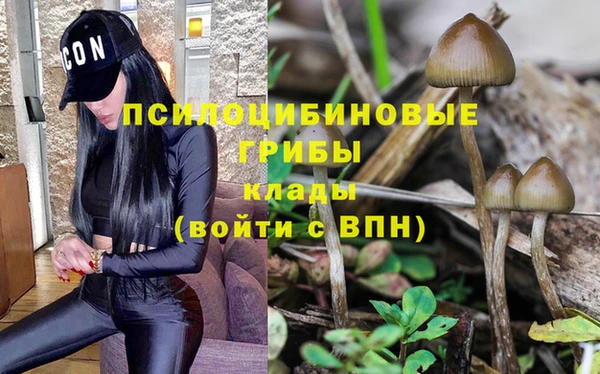 стаф Абаза
