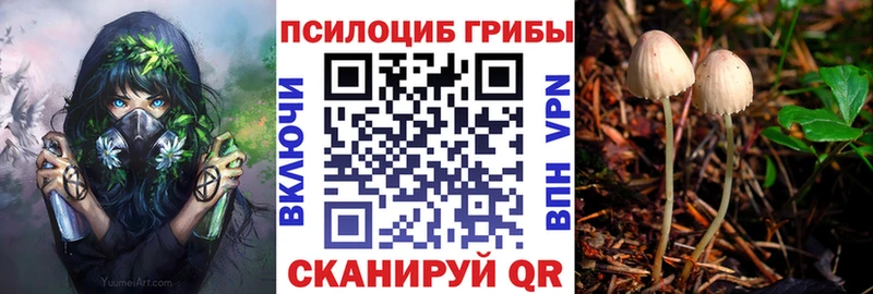 hydra вход  Павловский Посад  Галлюциногенные грибы Psilocybine cubensis  продажа наркотиков 