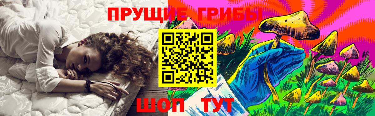 Галлюциногенные грибы Psilocybe Павловский Посад