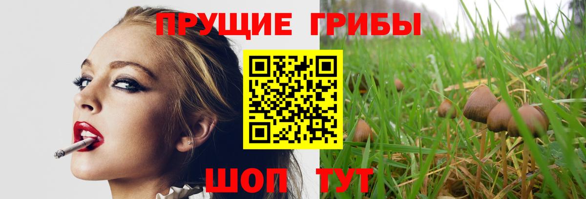 Павловский Посад  Галлюциногенные грибы мухоморы  Вход с VPN  Галлюциногенные грибы Magic Shrooms 